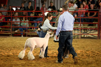 Lamb Show-15