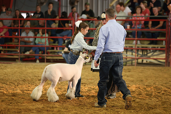 Lamb Show-15