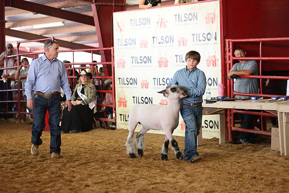 Lamb Show-108