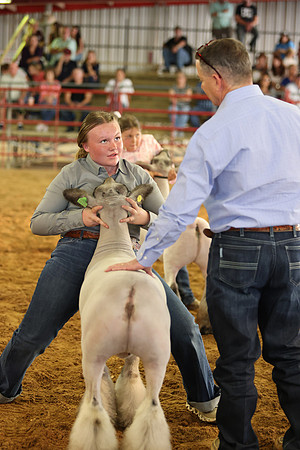 Lamb Show-29
