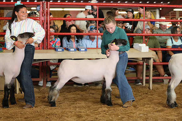 Lamb Show-120