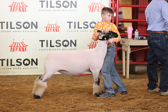 Lamb Show-135
