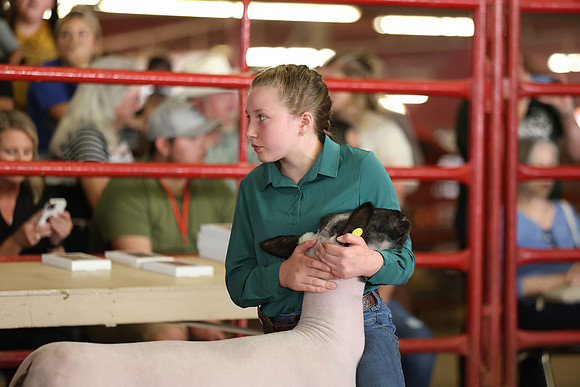 Lamb Show-121