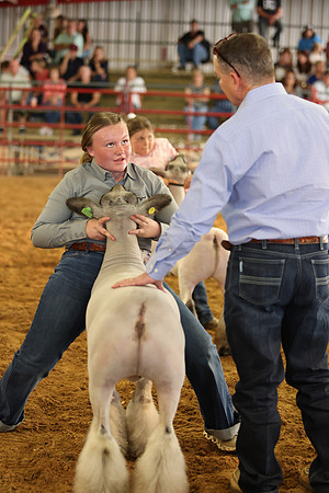 Lamb Show-28