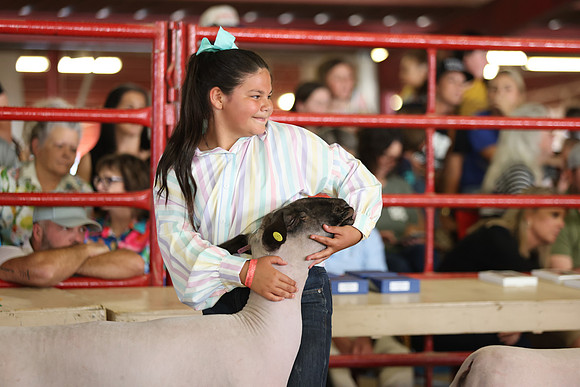 Lamb Show-123