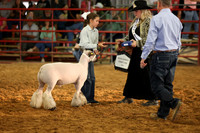 Lamb Show-16