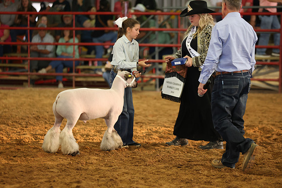 Lamb Show-16