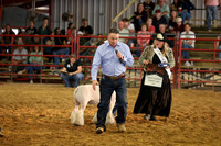 Lamb Show-14