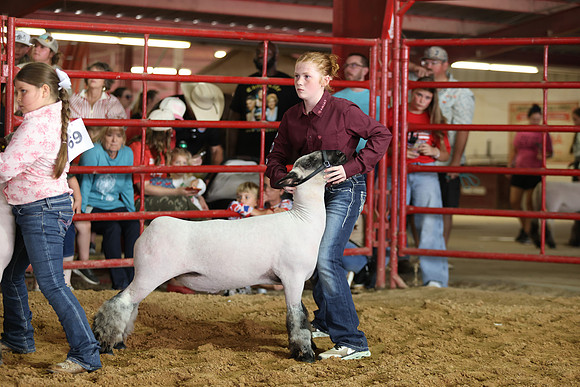 Lamb Show-137