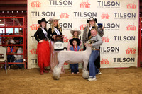 Lamb Show-2