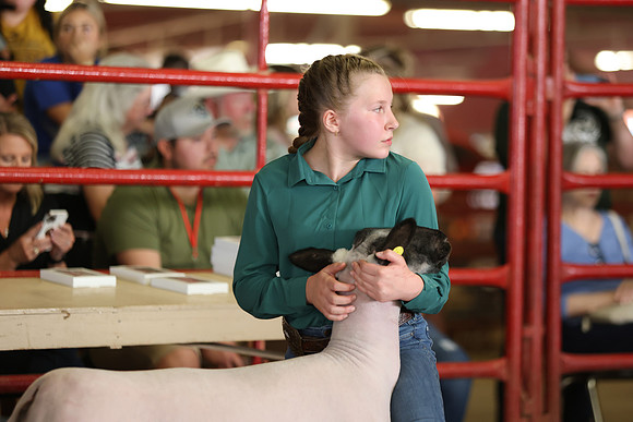 Lamb Show-122