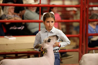 LambShowmanship-20