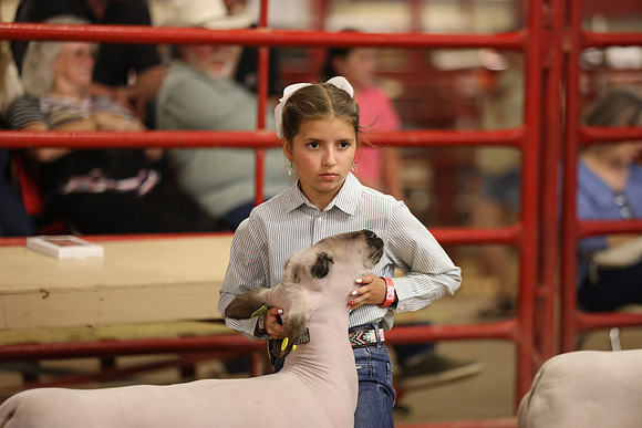 LambShowmanship-20
