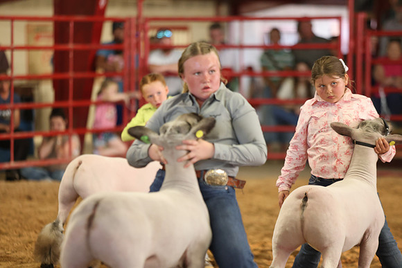 Lamb Show-17