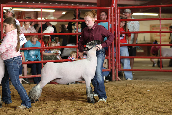 Lamb Show-136