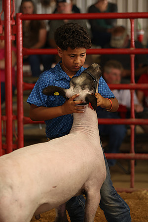 Lamb Show-145