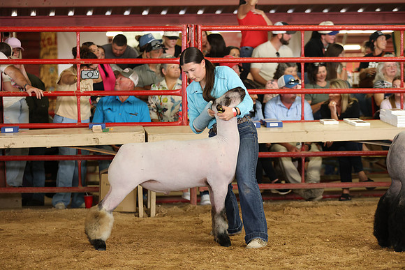 Lamb Show-64