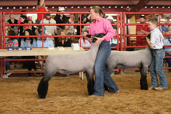 Lamb Show-70