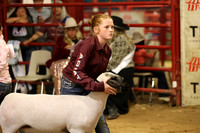 LambShowmanship-17