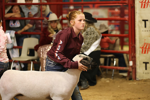 LambShowmanship-17