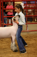 LambShowmanship-14
