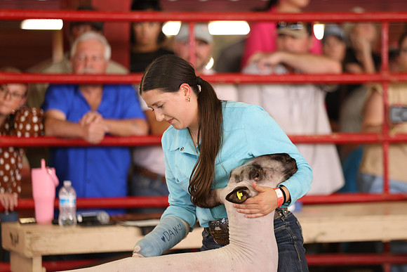 Lamb Show-59