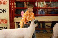 LambShowmanship-15
