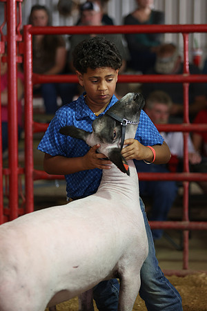 Lamb Show-144