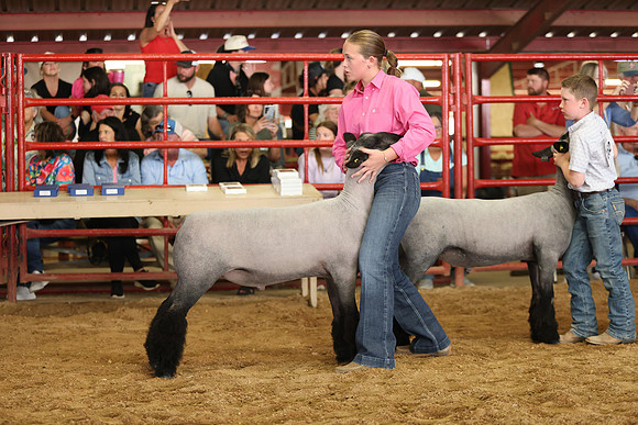 Lamb Show-71