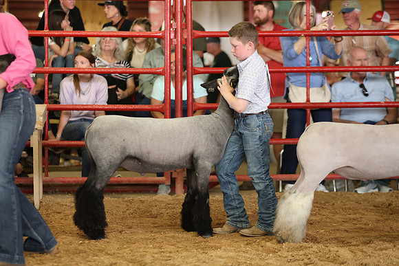Lamb Show-65