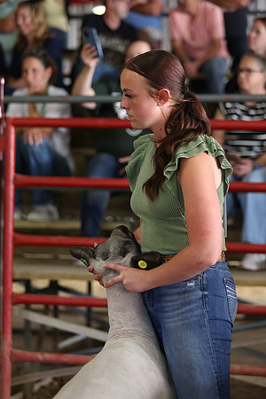 Lamb Show-150