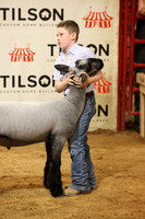LambShowmanship-10