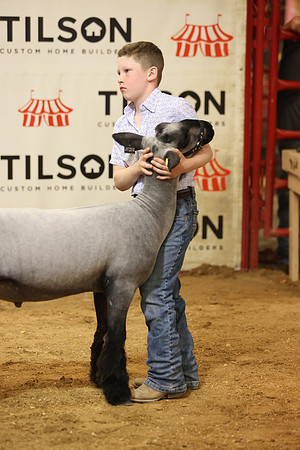LambShowmanship-10