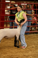 LambShowmanship-13