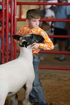 Lamb Show-146