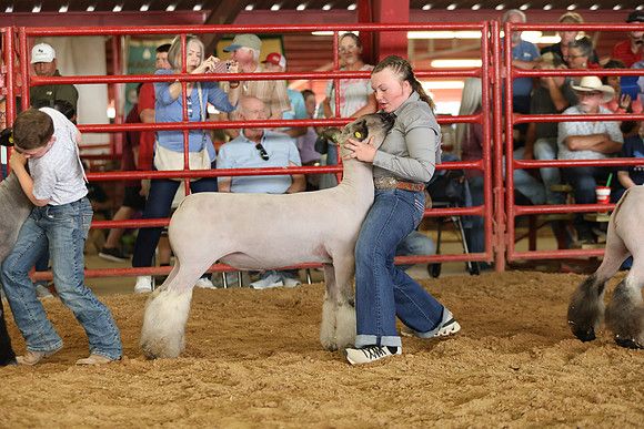 Lamb Show-73