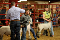 LambShowmanship-7