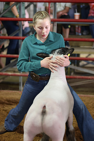 Lamb Show-147
