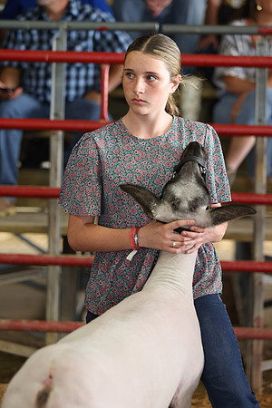 Lamb Show-153