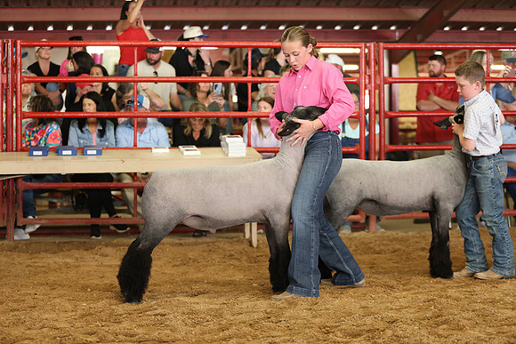 Lamb Show-72