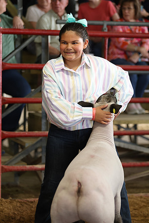 Lamb Show-143