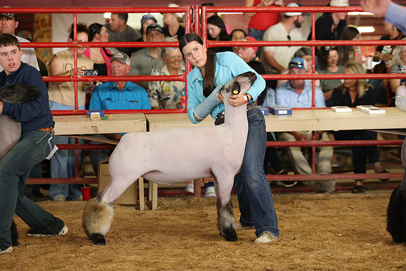 Lamb Show-62