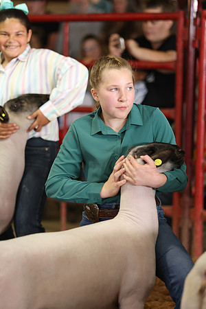 Lamb Show-156