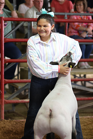 Lamb Show-142