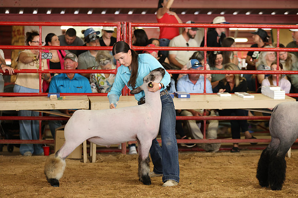 Lamb Show-63