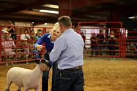 2026 WCF - Lamb Showmanship