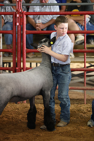 Lamb Show-88