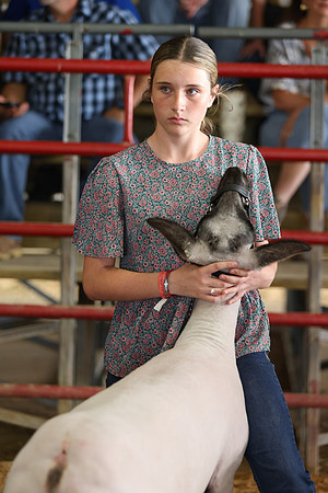 Lamb Show-154