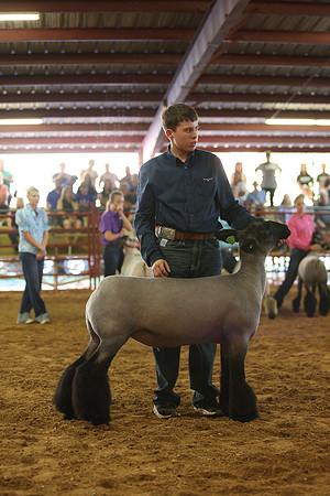 Lamb Show-49
