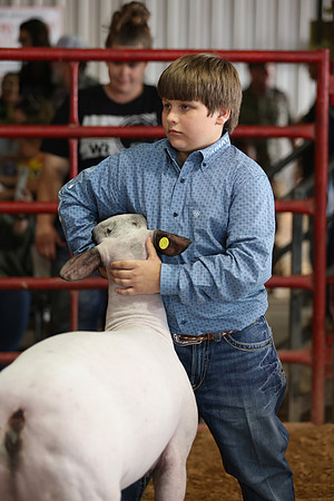 Lamb Show-140